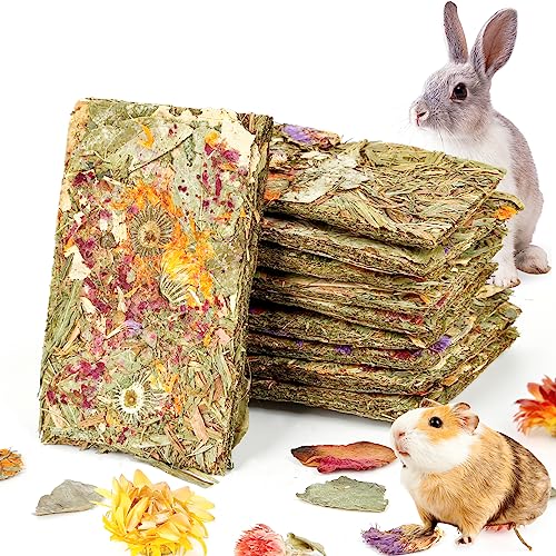 Rabbit Natural Treats (0.3 Ounce (Pack of 10))