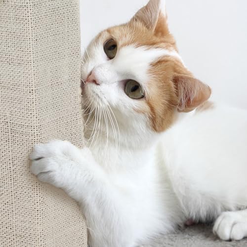 Cat Scratching Post with Carpeted Base (Beige)