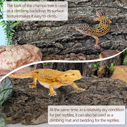 Cork Terrarium Background 11.8x7.9in 8PCS Natural Reptile Cork Bark Flats Terrarium Board Bearded Dragon Climbing Wall Mat Tank Accessories Decor for Lizard Chamelon Snake Turtle Spider Crested Gecko (8PCS-11.8x7.9in)