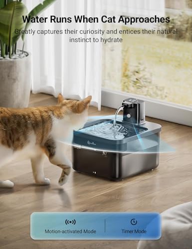 Cat Water Fountain Cordless (Black / Standard)