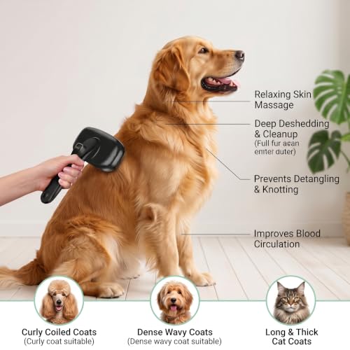 5 PCS Cat & Dog Grooming Kit Brush (Black 5pc)