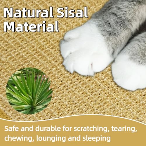 Bunny Scratch Pad (1PC)