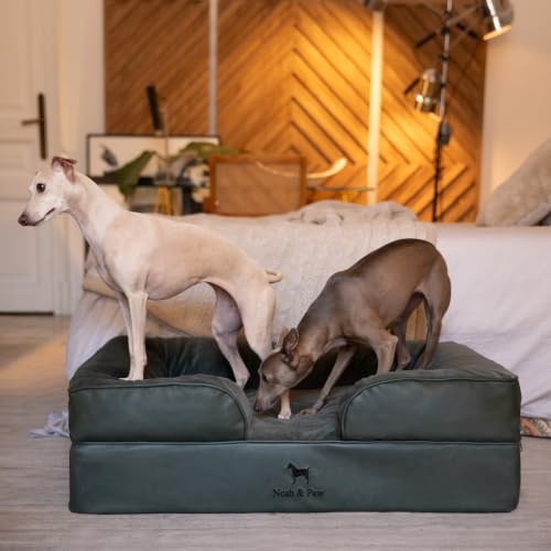 Dog Bed Orthopedic Memory Cooling Foam (Green - LE / Large)