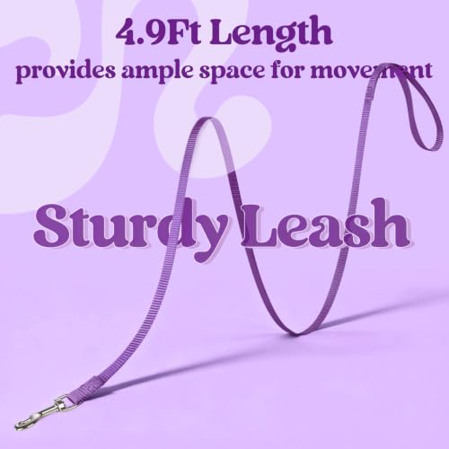 Cat Harness and Leash Set (S / Black & Purple)