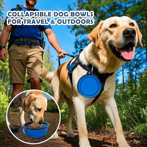 36 Inch Collapsible Soft Dog Crates with 3 (Blue-L)