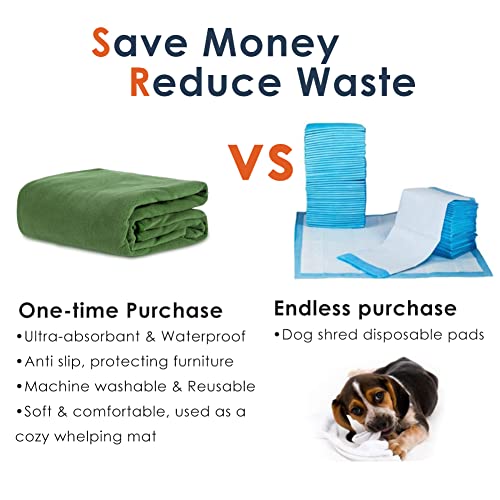 Washable Pee Pads for Dogs (72"x72" -1 Pack / Green)