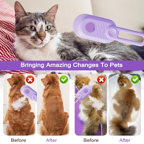 2026 New 4 in 1 Cat Steam Brush for Shedding
