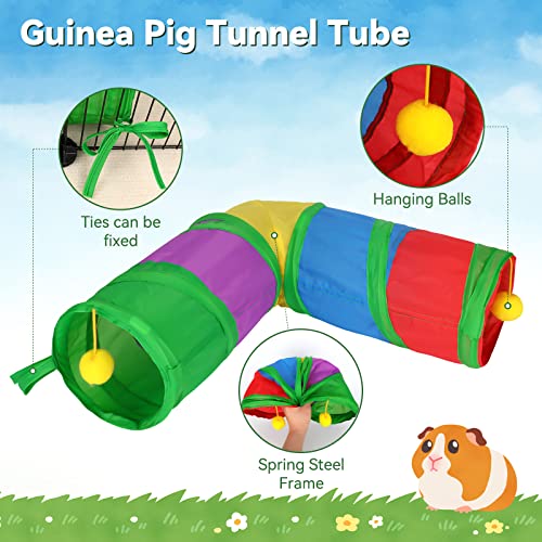Guinea Pig Tunnels and Tubes 2 (Colorful)
