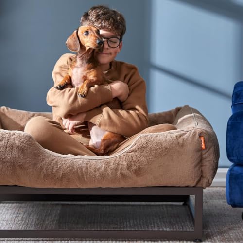 Luxury Aesthetic Dog Bed with Extra Cover for Medium Dogs (Dark grey / Medium)