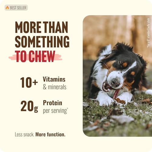 2 3 Inch Bully Sticks for Small Dogs & Puppies (2-3" Standard - 1 lb)