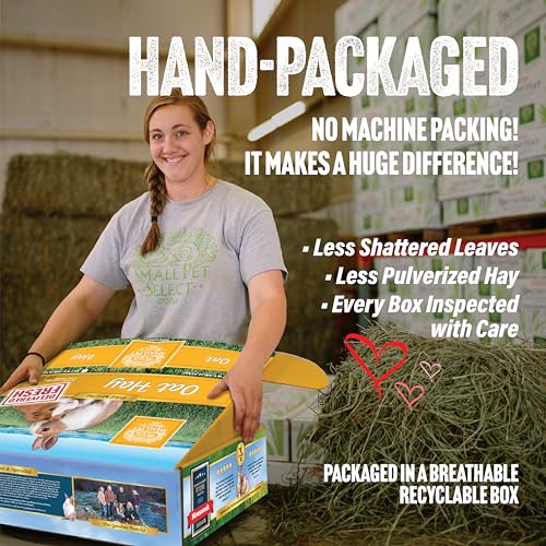 Oat Hay for Rabbits (5 Pound (Pack of 1))
