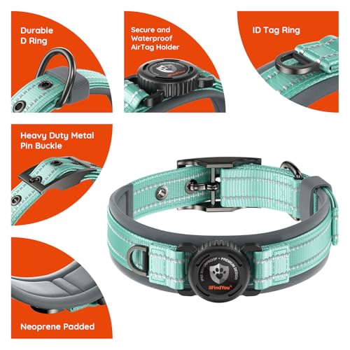 Heavy Duty Dog Collar with AirTag Holder (Cyan / M (17-19in Neck))
