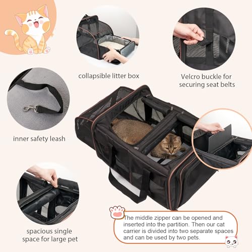 Double Cat Carrier for 2 Cats (Black)