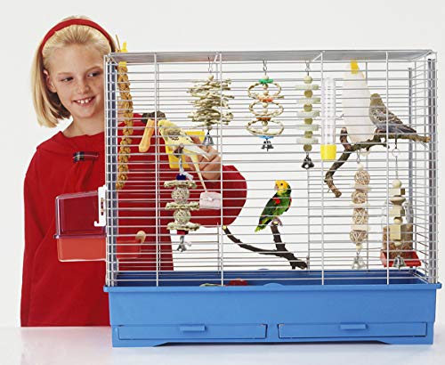 7 Pack Bird & Parrot Toys