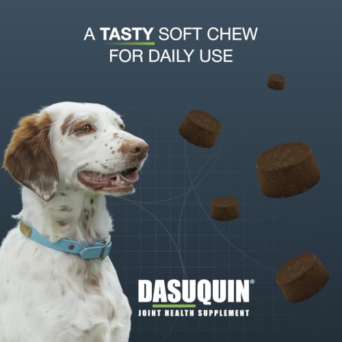 Nutramax Dasuquin MSM Joint Supplement (Small/Medium Dog (Under 60 lbs) - 84 Count)