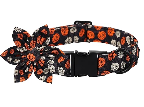 Dog Collar with Flower (Large (Pack of 1) / B:Y&W Pumpkin)