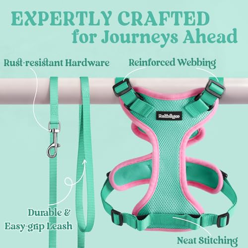 Cat Harness and Leash Set (Xs / Green & Pink)
