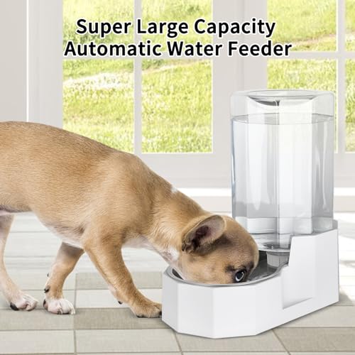 Dog Water Bowl Dispenser (White / 6L Without Filter)