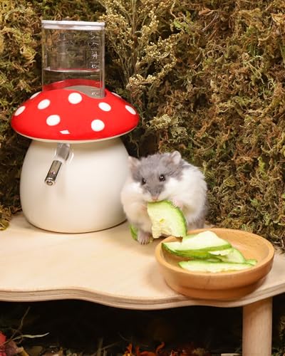 Hamster Snack & Treats Toy