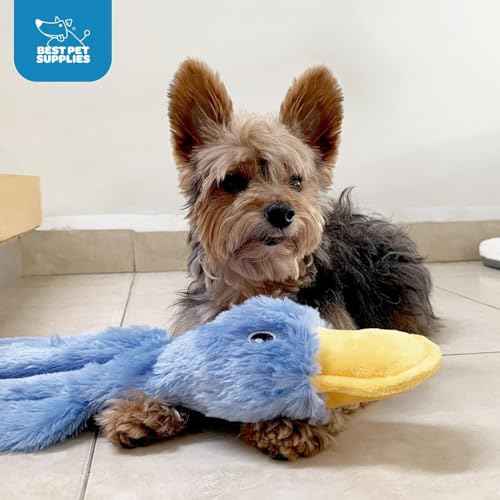 2-in-1 Stuffless Squeaky Dog Toy - 2 Crinkle Ducks, Large (Crinkle Duck (Light Green & Turquoise) / Large)