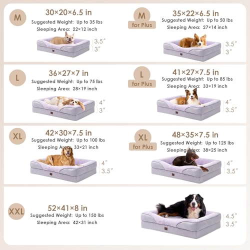 Orthopedic XL Dog Bed for Large Dog (Purple / 42x30x7.5)