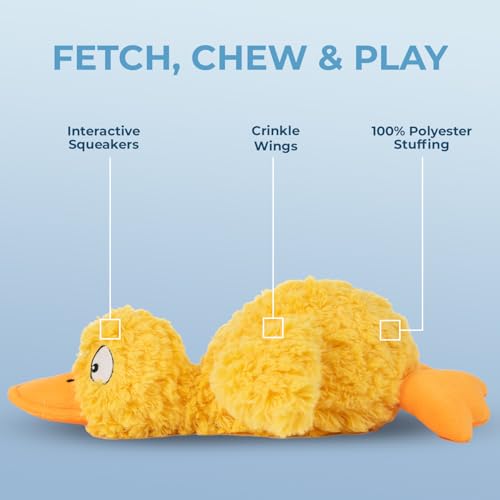 Squeaky Plush Dog Toy (Ducky Doodle (Yellow) / Large)