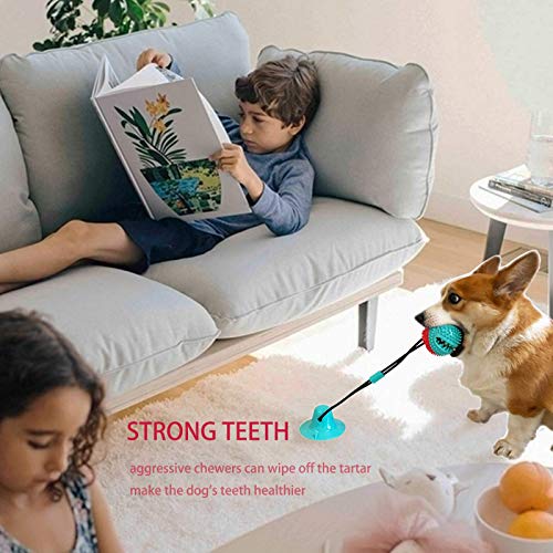 Dog Toys Chew Toys for Aggressive chewers (Blue)