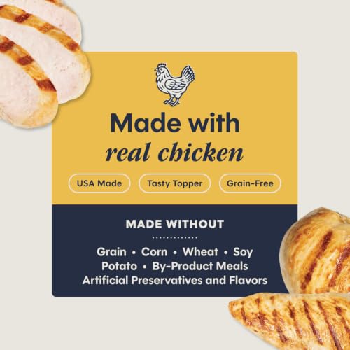 Healthy Cravings Grain Free Real Chicken Recipe Natural Wet Cat Food Topper by Nature's Variety (3 Ounce (Pack of 24))