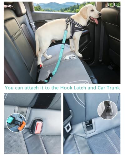 Dog Seat Belt for Car (Teal)