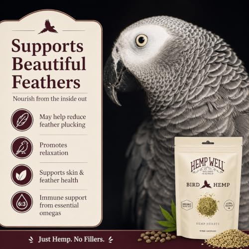 Organic Hemp Hearts for Birds (1 Pound (Pack of 1))