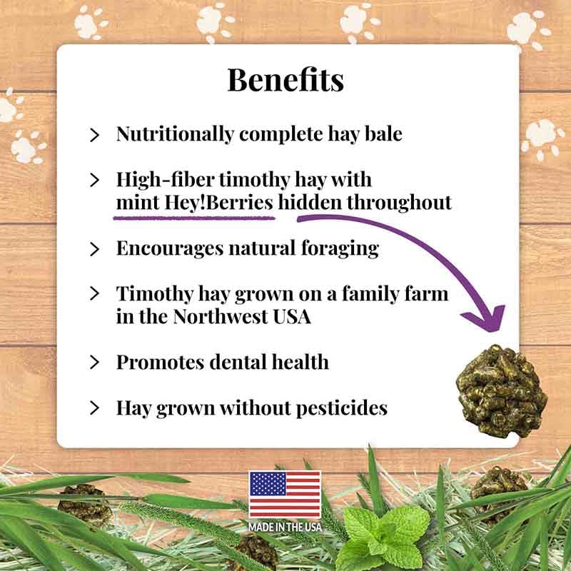 Berrie Bale Mint for Guinea Pigs 1 lb
