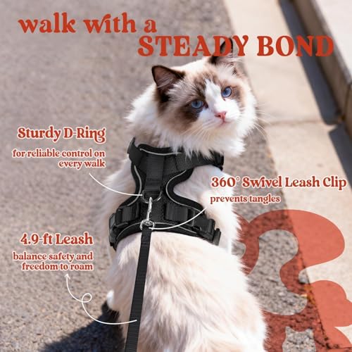 Cat Harness and Leash Set (M / Black)
