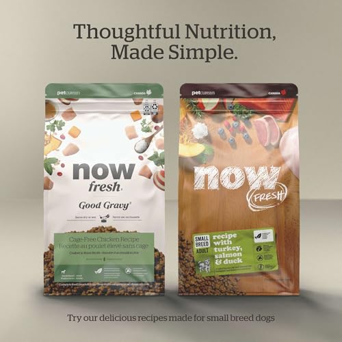 Grain Free Small Breed Dry Puppy Food with Turkey (3.5 Pound (Pack of 1))