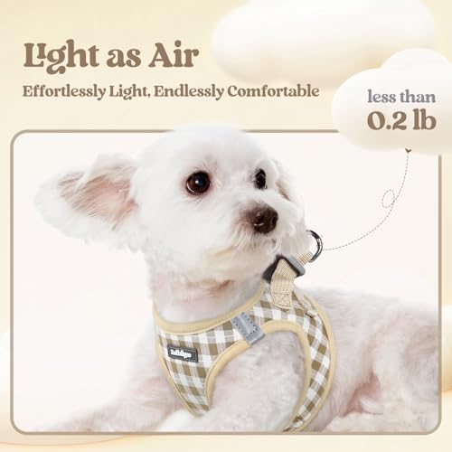 Dog Harness Small Sized and Leash Set (Beige Check / S (chest: 15.1 - 16.5"))