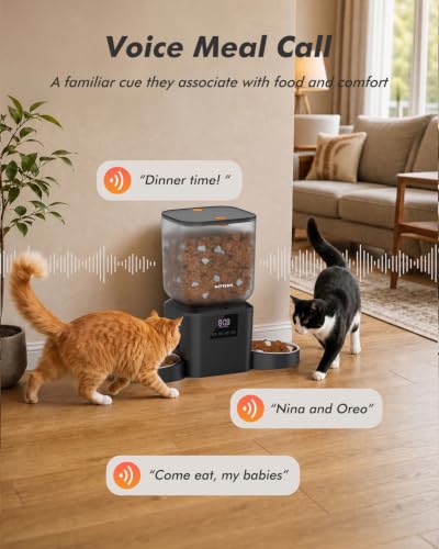 Automatic Cat Feeder for 2 Cats (Matte Black)