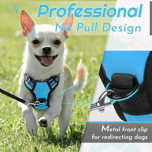 Dog Harness for Small Dogs (X-Small / Sky Blue)