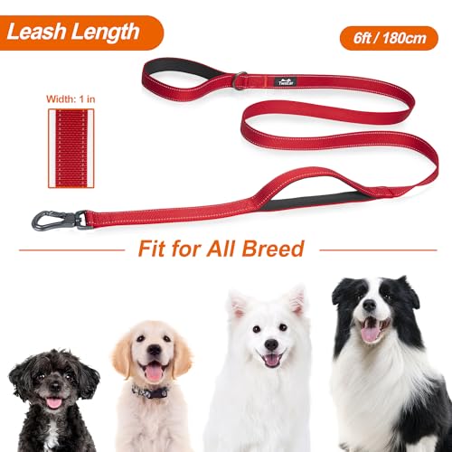 6FT 1IN Heavy Duty Dog Leash for Large Dogs with 2 Padded Handles (Red / 1 in x 6 ft)