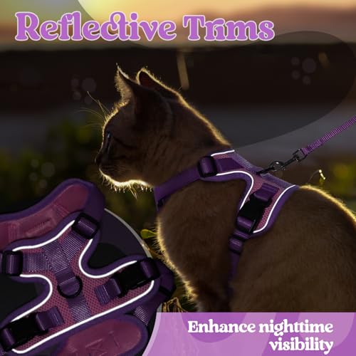 Cat Harness and Leash Set (Pink & Purple / S)