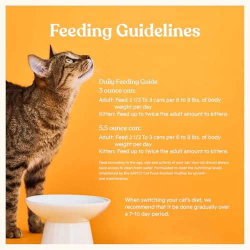 Pate Wet Cat Food Variety Pack