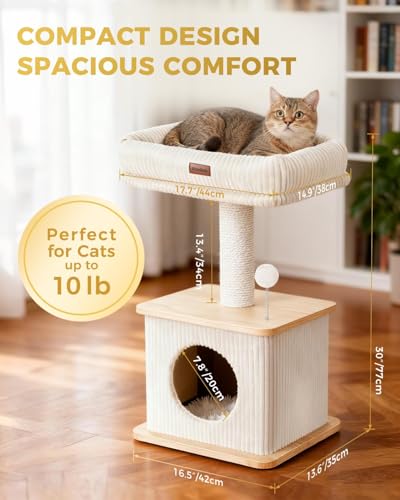 Small Cat Tree for Indoor Kittens (Ash Wood Finish / Small)