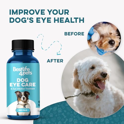 Dog Eye Infection & Eye Care Support Supplements