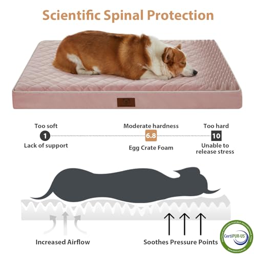 Orthopedic Waterproof Large Sized Senior Dogs Bed for Comfy Sleep (Pink / 36"L x 27"W x 3"Th)