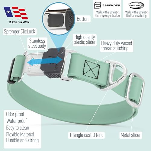 Biothane Waterproof Dog Collar with Herm Sprenger Black Stainless Steel Quick Release Buckle (W 1" x L 15"-25" / Sage Green)