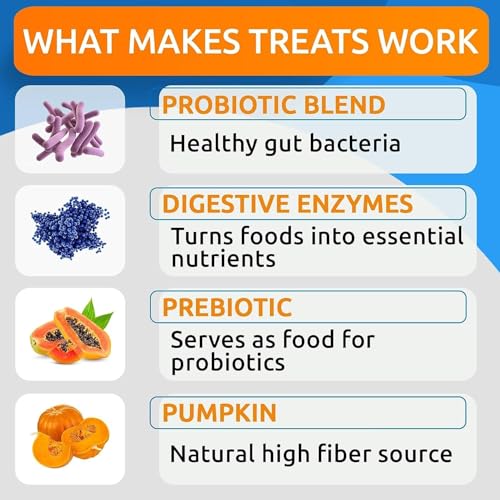 Probiotics for Dogs (Probiotic Chews / 240Ct (Chicken))