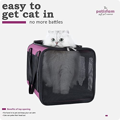 Soft Pet Carrier for Large and Medium Cats (Viva Magenta)