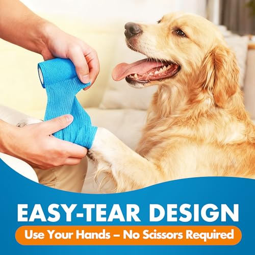 10 Rolls Self Adhesive Vet Wrap (2 Inch x 5 yards)