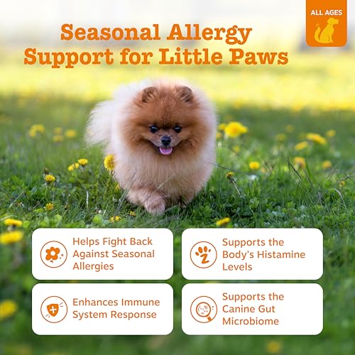 Mini Dog Allergy Chews (90 Count (Pack of 1) - Mini)