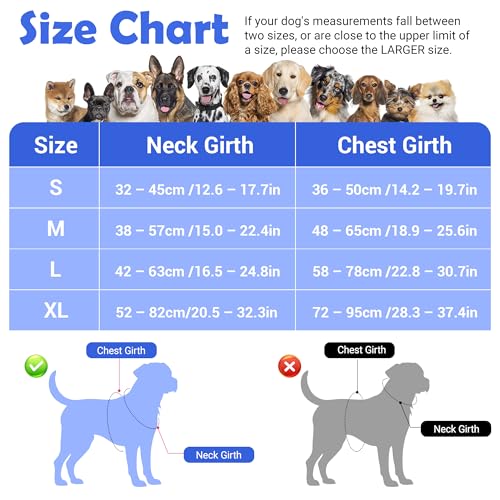 Dog Harness No Pull (Blue / Small)