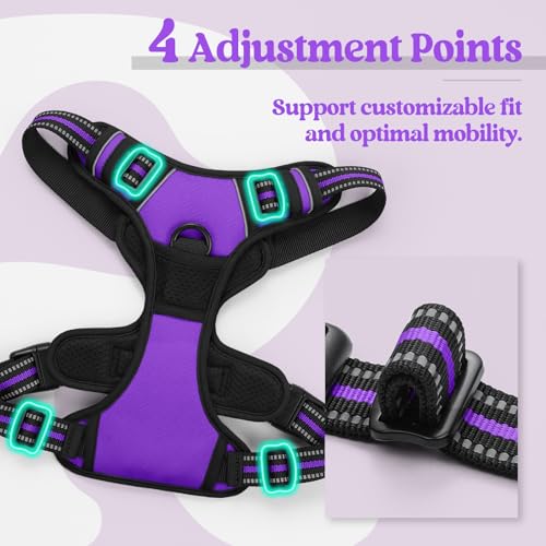 Dog Harness No Pull for Small Dogs with 2 Leash Clips (Small / Purple)