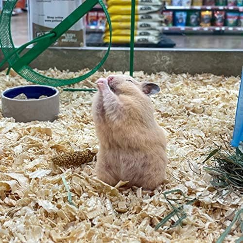 Organic Meadow Hay for Small Pets (2.5 Pound (Pack of 1))